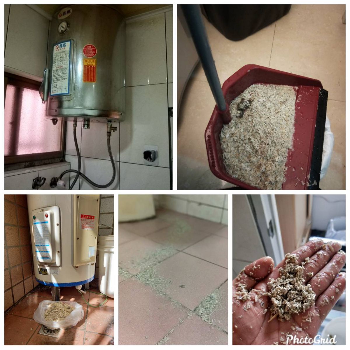 水管水塔清洗案例-2